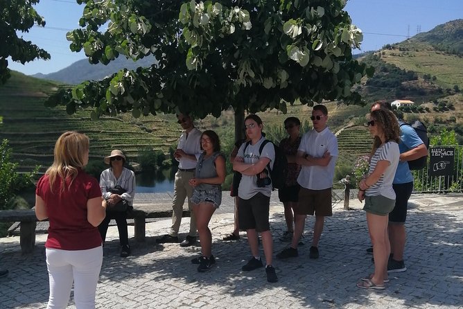 DOURO VALLEY: Lunch in a winery, tastings & 1-h private boat tour - Stop 3: Peso da Régua, the best road in Portugal, and lunch in the winery