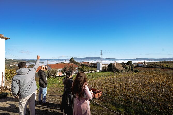 DOURO VALLEY: Lunch in a winery, tastings & 1-h private boat tour - Price and value: is $139.08 a fair deal?
