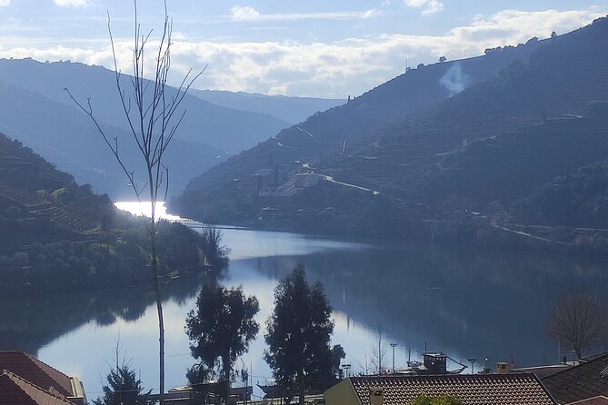 Douro valley Majestic - Pinhão (1 hour): wine tasting plus the 1-hour boat ride