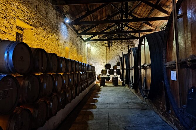 Douro Valley Pinhao Quinta da Foz Tour and Tasting 5 Wines - What you actually taste: 5 wines plus olive oil