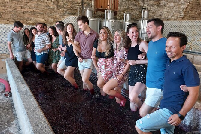 Douro Valley Pinhao Quinta da Foz Tour and Tasting 5 Wines - Reviews you can use to decide