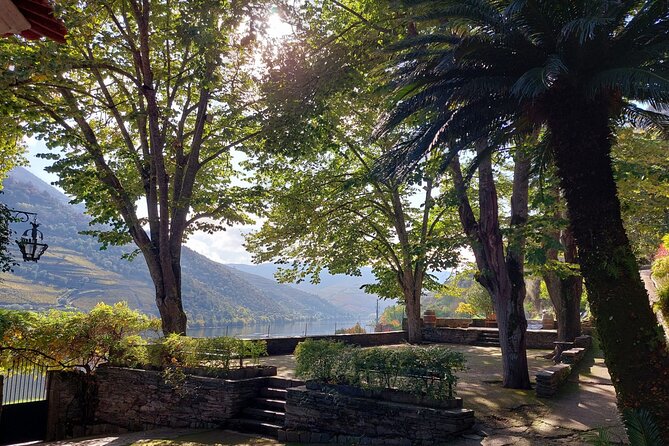 Douro Valley Pinhao Quinta da Foz Tour and Tasting 5 Wines - Should you book the Quinta da Foz 5-Wine Tour?