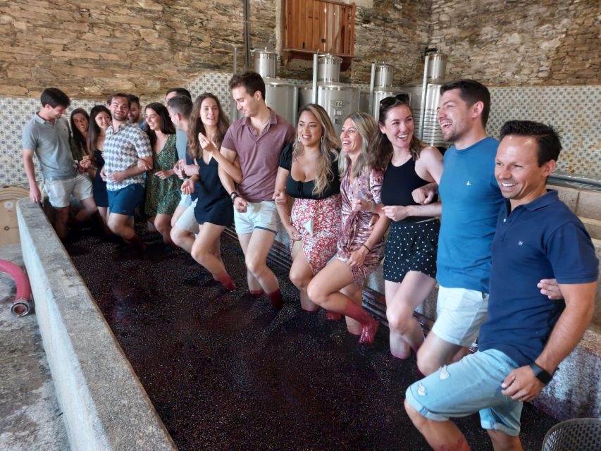 Douro Valley: (Pinhão) Quinta da Foz - Tour&Tasting 5 WINES - Key highlights worth your time