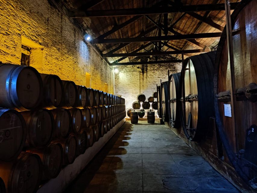 Douro Valley: (Pinhão) Quinta da Foz - Tour&Tasting 5 WINES - Entering the traditional winery: vinification explained in plain terms