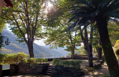 Douro Valley: (Pinhão) Quinta da Foz - Tour&Tasting 5 WINES - The 1-hour rhythm: what the schedule really means for your day