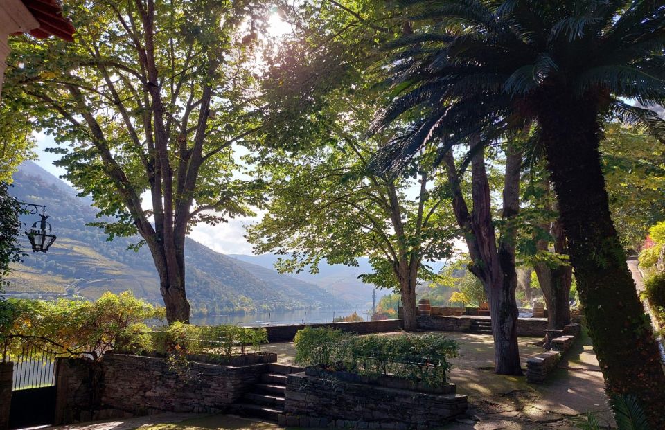 Douro Valley: (Pinhão) Quinta da Foz - Tour&Tasting 5 WINES - The 1-hour rhythm: what the schedule really means for your day