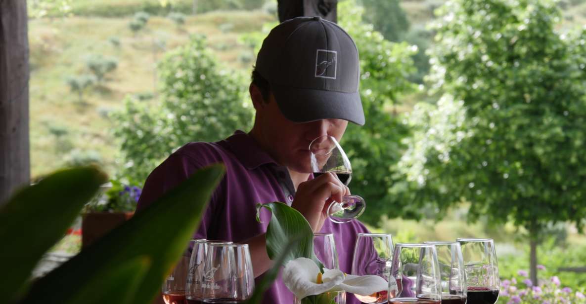 Douro Valley: Premium Port Tasting Winery Tour & River Views - A fast, focused Douro experience with built-in wine education