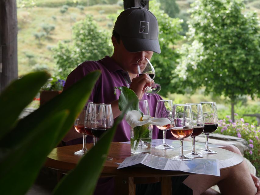 Douro Valley: Premium Port Tasting Winery Tour & River Views - Meeting point at Folgosa: what to do when you arrive