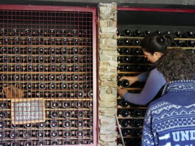 Douro Valley: Premium Port Tasting Winery Tour & River Views - Price and value: $34 for 3 tastings plus real site time
