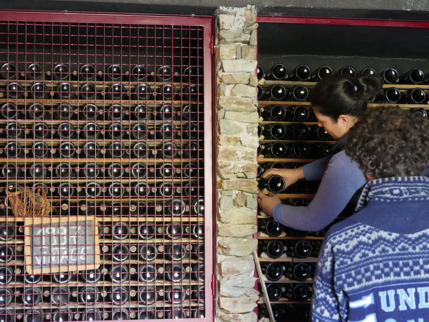Douro Valley: Premium Port Tasting Winery Tour & River Views - Price and value: $34 for 3 tastings plus real site time
