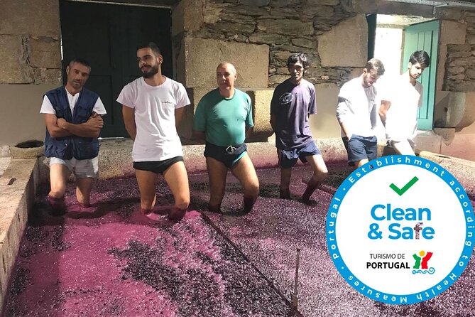Douro Valley Premium Private - Hotel Pickup at 9:00 AM: The Logistics That Make or Break a Wine Day