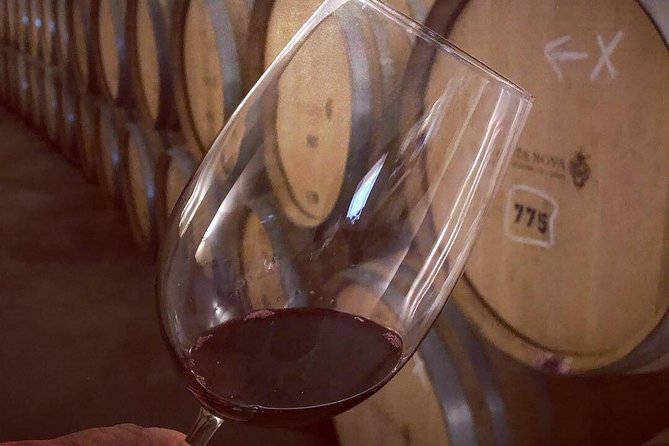 Douro Valley Premium Private - Safety and Comfort: Seals, Gear, and a Realistic Mindset