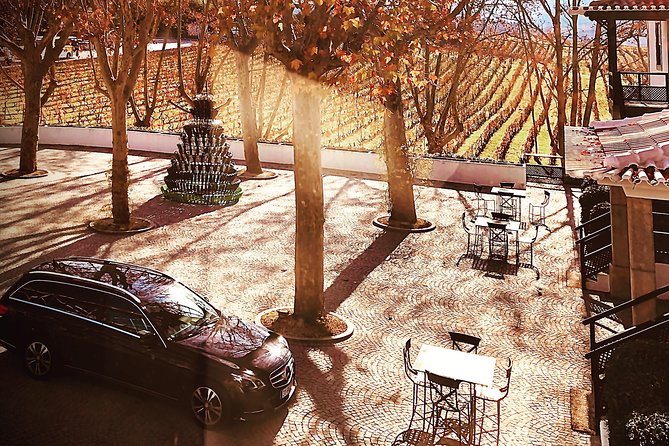 Douro Valley Premium Private - Price and Value: Is $311.55 Per Person Fair?