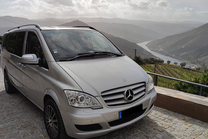 Douro Valley Premium Tours - Private Driver & Guide - The one-hour Rabelo boat ride: the calm middle that makes the day work