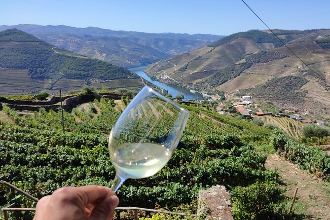 Douro Valley Premium Tours - Private Driver & Guide - Boutique winery tasting: olive oil, wine, honey, and almonds in one session