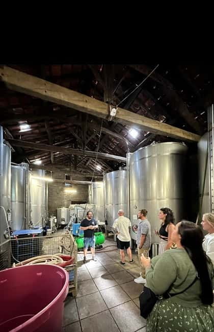 DOURO VALLEY: Premium Wine Tour, Winery Lunch & Private Boat - The 10 wines you’ll taste: how to get the most out of the pours