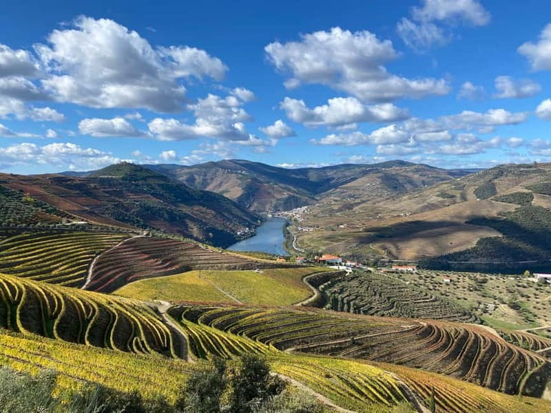 DOURO VALLEY: Premium Wine Tour, Winery Lunch & Private Boat - Guides and group size: why “small” changes the experience