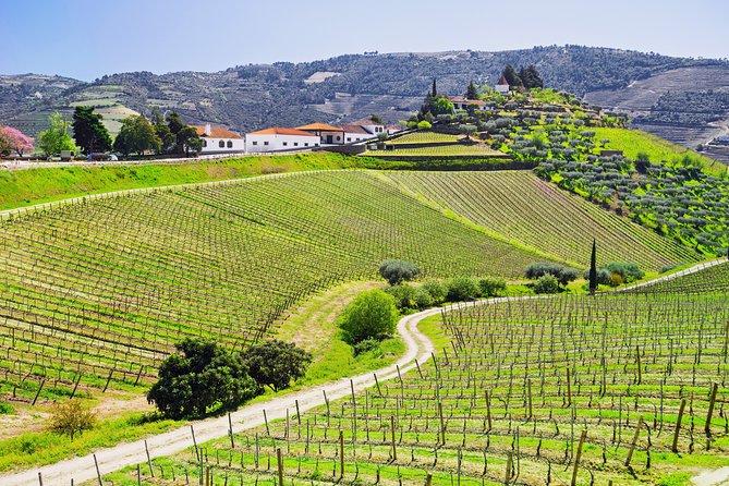 Douro Valley private day tour from Porto - Why a Douro Valley day from Porto makes sense