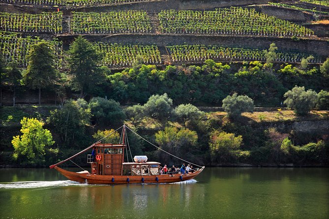 Douro Valley private day tour from Porto - Weather, shared spaces, and how to keep the day feeling relaxed