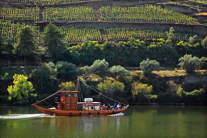 Douro Valley Private Full–Day Tour from Porto - Key Things to Know Before You Go