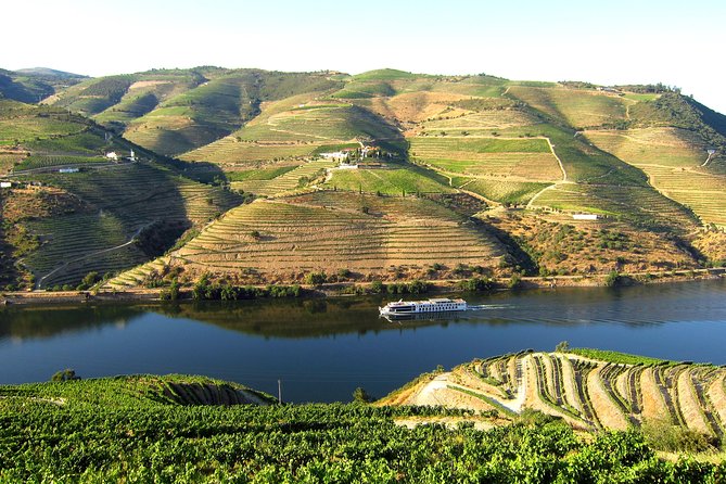Douro Valley Private Full–Day Tour from Porto - How Private Pickup Changes Your Douro Day From Porto
