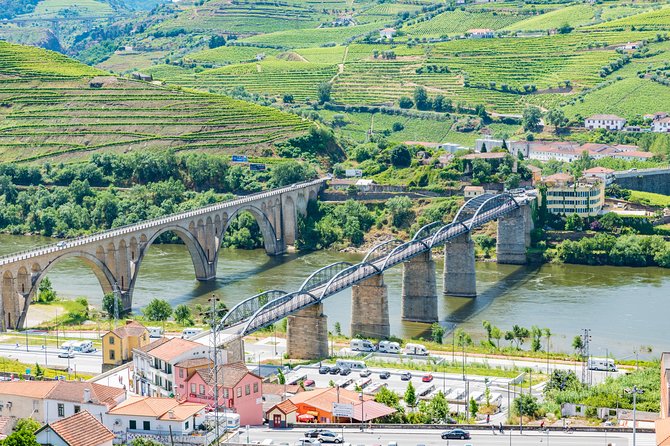 Douro Valley Private Full–Day Tour from Porto - Price and Value: What $720.14 Includes (And Why It Can Be Worth It)