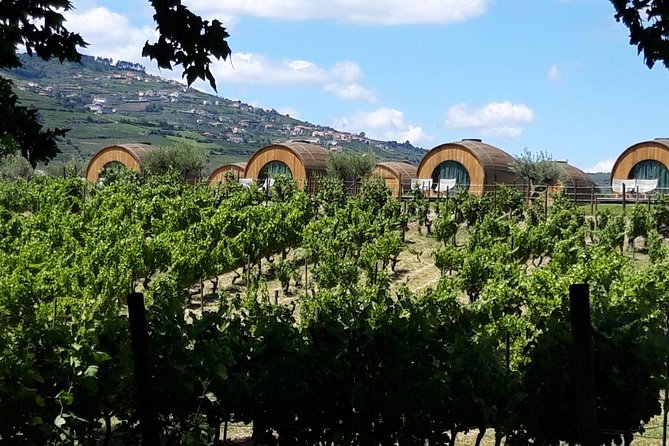 Douro Valley Private Premium Tour with Wine Tasting (1 to 4 people) - Private tour pacing: how the day stays relaxed