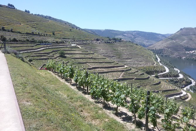 Douro Valley Private Premium Tour with Wine Tasting (1 to 4 people) - National Road 222: the drive that does the storytelling