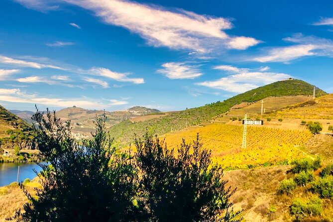 Douro Valley Private Tour: 2 Farms, Lunch & Boat Trip - Key highlights at a glance