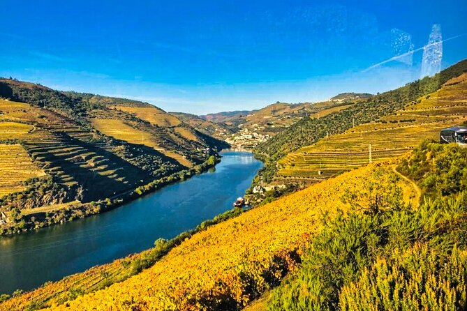 Douro Valley Private Tour: 2 Farms, Lunch & Boat Trip - Getting there: pickup timing, vehicle comfort, and how to plan your morning