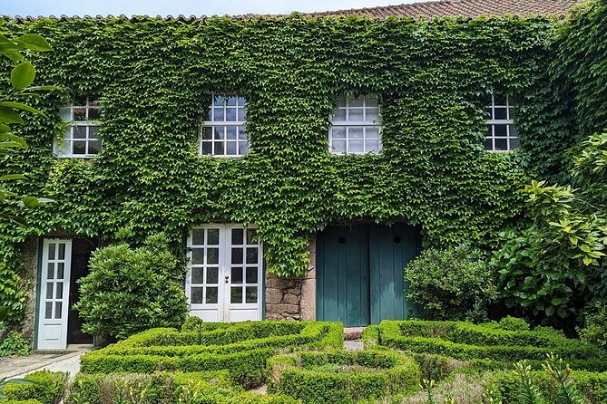 Douro Valley Private Tour: 2 Farms, Lunch & Boat Trip - Vale do Douro farm visit: wine plus olive oil tasting that keeps things varied