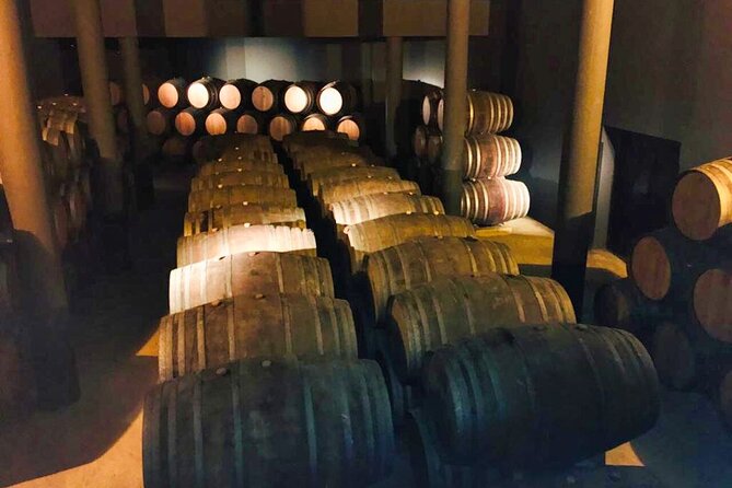 Douro Valley Private Tour: 2 Farms, Lunch & Boat Trip - Who this Douro Valley tour fits best (and who might want an alternative)