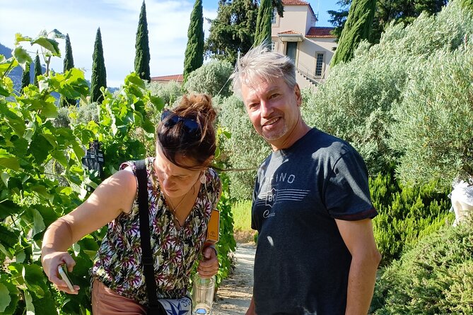 Douro Valley Private Tour - Getting Started in Porto: Pickup and the Easy Rhythm of the Day