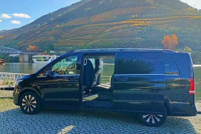 Douro Valley Private Tour - Casal de Loivos Family Winery: Wine Flights, Port Tasting, and Olive Oil