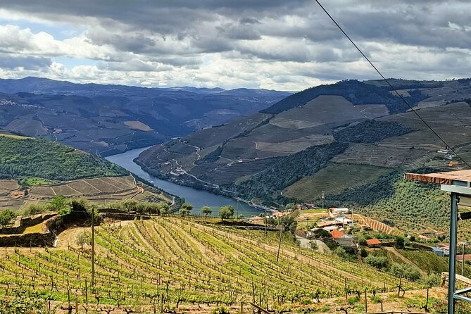 Douro Valley Private Tour - Pacing, Comfort, and What to Bring for an 8-Hour Day