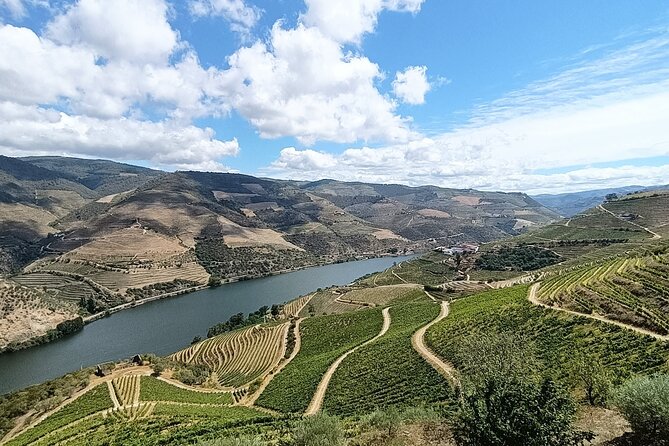Douro Valley Private Tour - Who This Tour Fits Best (and Who Might Prefer Something Different)