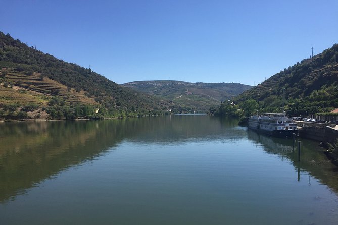 Douro Valley Private Tour from Oporto - Quinta do Tedo: the winery visit and tasting you came for