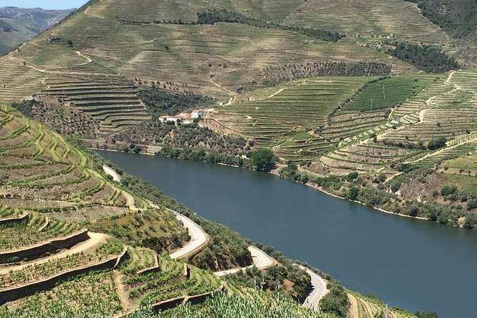 Douro Valley Private Tour from Oporto - Who this Douro day is best for