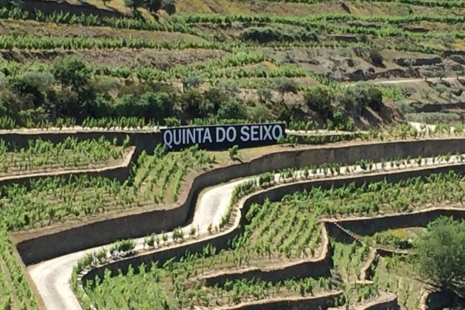 Douro Valley Private Tour from Oporto - Casal de Loivos viewpoint: a short stop with big payoff