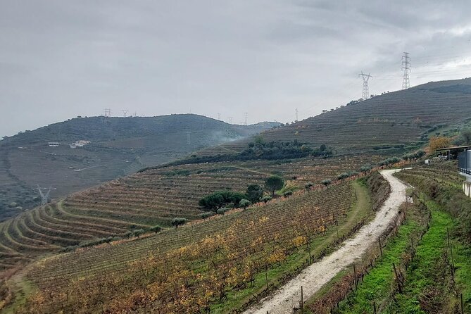 Douro Valley private tour full day - Pinhão station: azulejos and the calm pause between river and wine