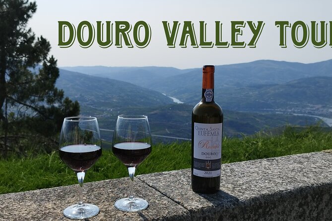 Douro Valley private tour full day - On the Douro: one hour with Companhia Turística do Douro