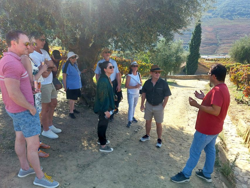 Douro Valley private tour & wine experience including lunch - From Porto to Douro Valley: private van, pickup points, and pacing