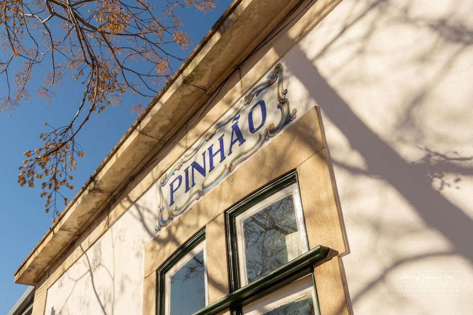 Douro Valley private tour & wine experience including lunch - Who should book this private Douro wine experience