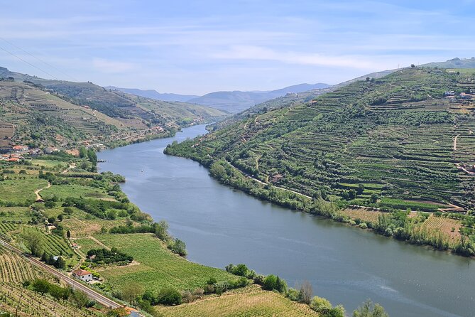 Douro Valley Private Tour (winery + boat + viewpoint) - Scenic drive to Pinhão on the N222: the warm-up that makes the boat better