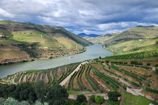 Douro Valley Private Tour (winery + boat + viewpoint) - Pickup flexibility: how it can work from your hotel or the train station