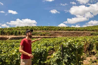Douro Valley: private tour with lunch and wine estate all inclusive - The São Leonardo viewpoint: where the river and vines finally make sense