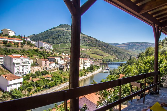 Douro Valley Private Tour with Sommelier - What “With a Sommelier” Really Changes in the Tasting