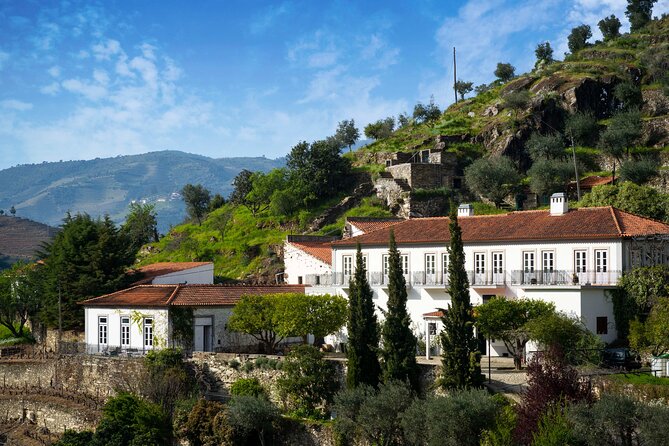 Douro Valley private tour with wine tasting and boat tour - Meet the Guides: What You Should Expect in Real Terms