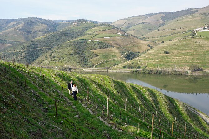 Douro Valley private tour with wine tasting and boat tour - Should You Book This Douro Valley Private Tour from Porto?