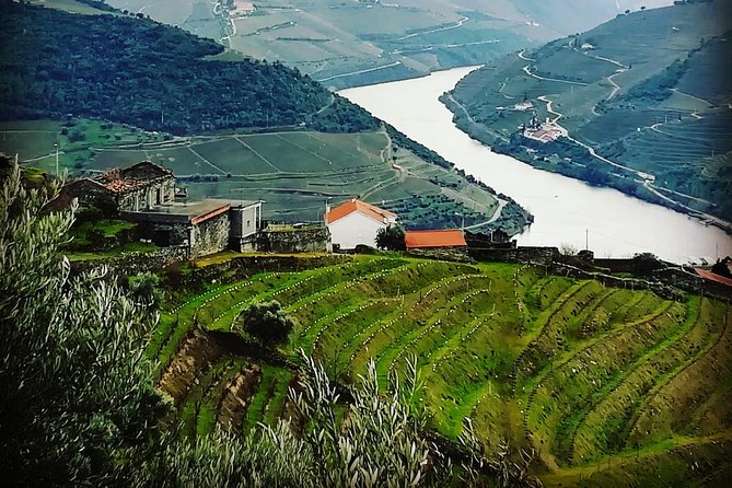 Douro Valley Private Wine and Food Tour From Porto - Douro Valley from Porto: why a private day works